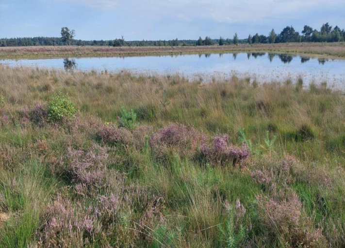 View from property 2, Bungalow in Park De Peel - Car-Free Retreat, Deurne