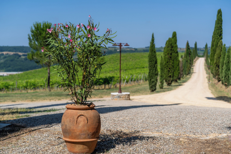 Others 5, Relais Badia a Passignano, Florence