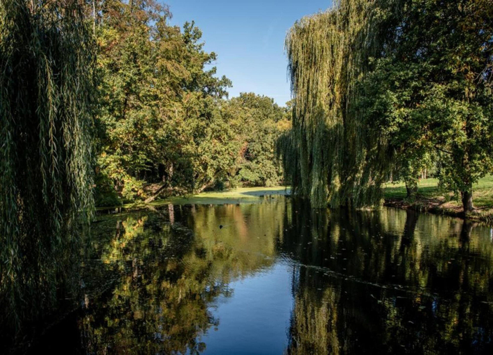 View from property 2, Forest Villa With Private Terrace, Beuningen
