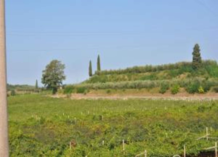 View from property 4, Shimmering Serenity in Pastrengo, Verona