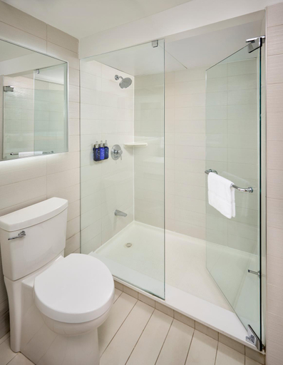 Bathroom 5, Radisson Blu Toronto Downtown, Toronto