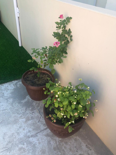 Others 5, Johar Guesthouse Karachi-Penthouse, Karachi