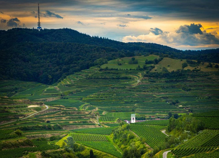 View from property 2, Weinberg-ferienwohnung, Oberrotweil, Breisgau-Hochschwarzwald