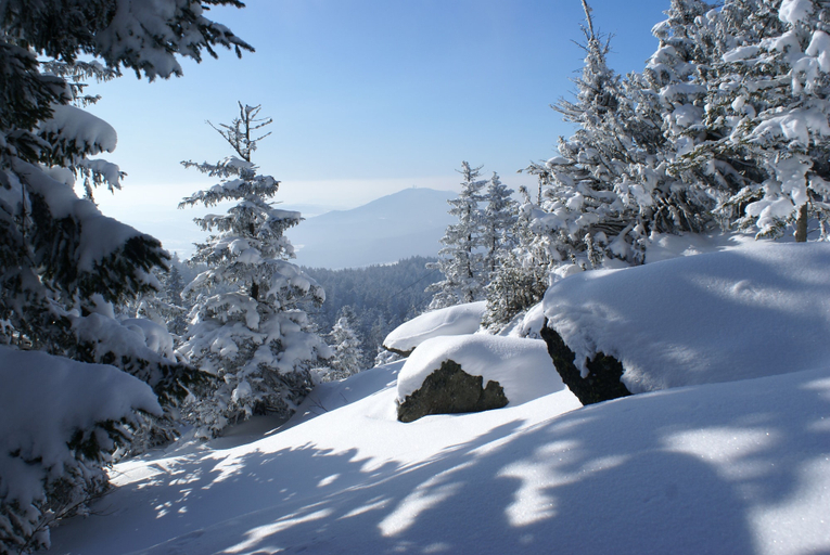 View from property 2, Comfort Apartment With Balcony in the Beautiful Bavarian Forest, Regen
