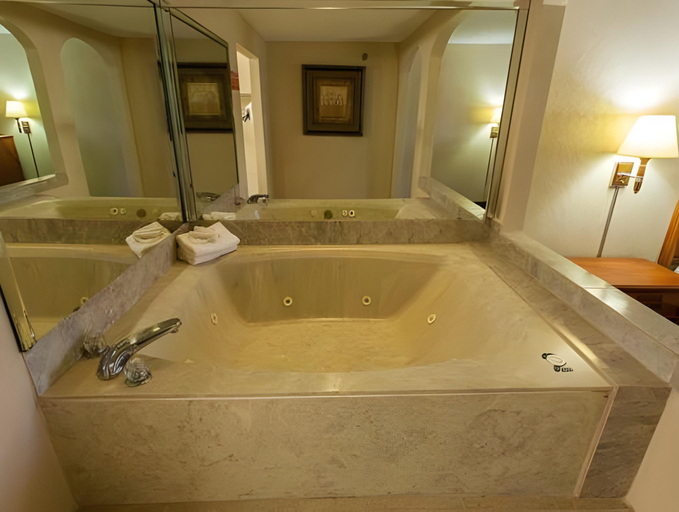 Bathroom 3, Downtowner Inn and Suites Hobby, Houston