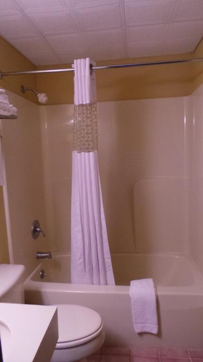 Bathroom 3, Red Carpet Inn Orchard Park - Buffalo, NY, Erie