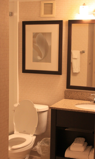 Bathroom 5, Clarion Inn Elmira-Horseheads, Chemung