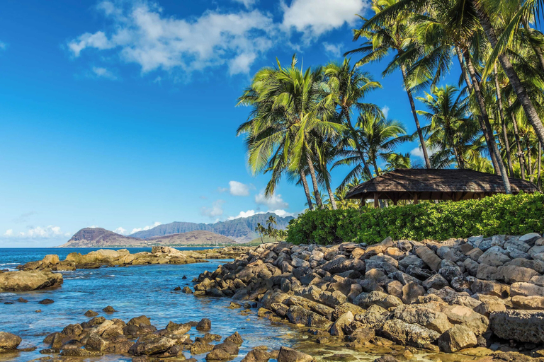 Others 5, Cottage Nene by Avantstay Mountain View + Garden, Honolulu