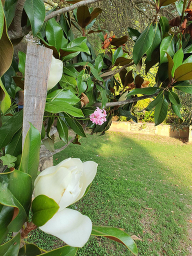Others 4, Hotel Garden, Cagliari