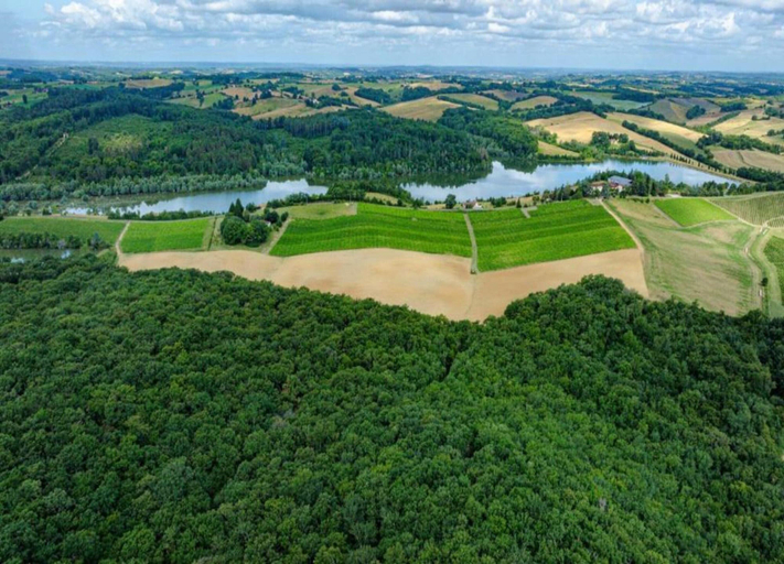 View from property 4, Peyrusse Peace: Pool & Charm, Gers