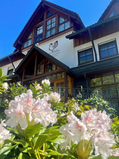 Exterior & Views 2, B&B Apart Hotel Goldener Hahn-Guesthouse, Freudenstadt