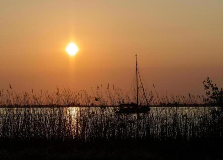 View from property 3, Docklodge in Friesland With Private Mooring, Lemsterland
