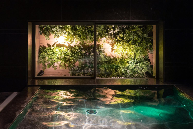 Sport & Beauty 5, SUPER HOTEL Nagoya Natural Hot Spring Shinkansenguchi, Nagoya
