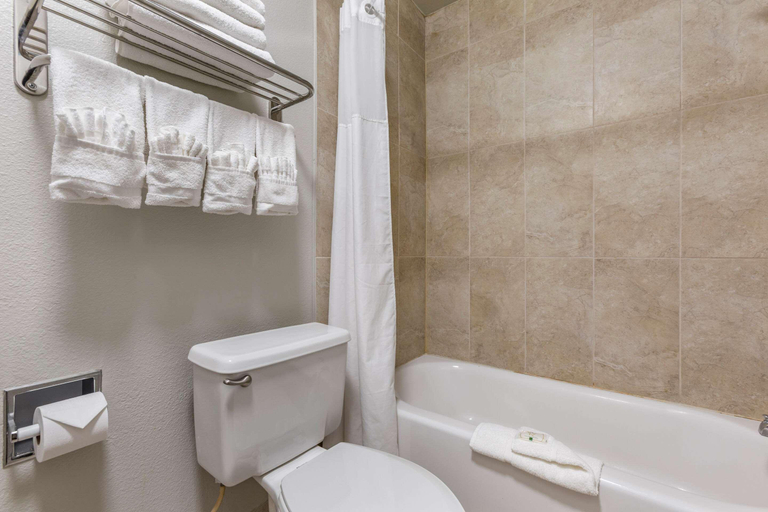 Bathroom 4, Quality Inn Show Low, Navajo