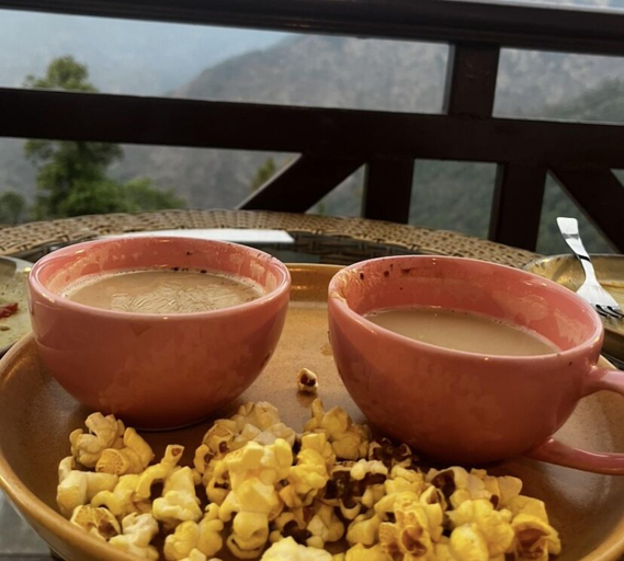 Food & Drinks 5, Harika Palace hidden awayfrom city chaos, Nainital