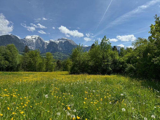 Others 4, Ferienwohnung Struberberg, Berchtesgadener Land