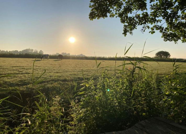 View from property 2, Modern House With a Beautiful View of Friesland, Menaldumadeel