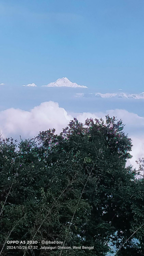 Others 5, Rishop Mountain Homestay, Darjiling