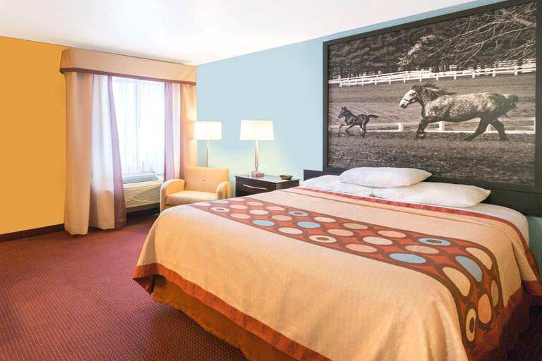 Bathroom 4, Super 8 By Wyndham Richmond, Madison