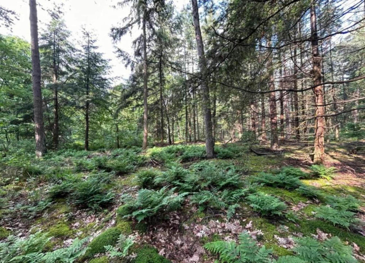 View from property 5, Apartment in Gelderland Near Nature Trails, Hengelo