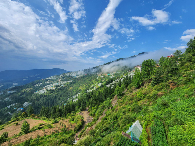 Others 5, The Kufri House, Shimla