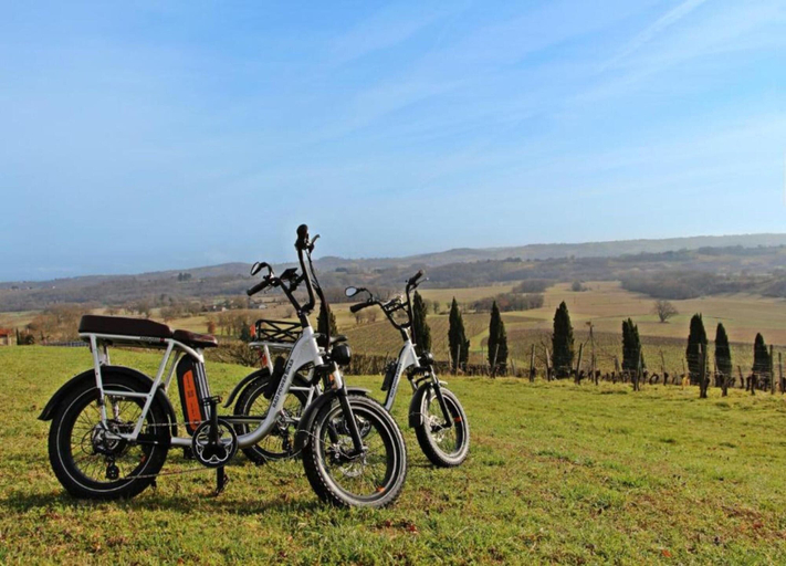 View from property 2, Holiday Home in Peyrusse Grande, Gers