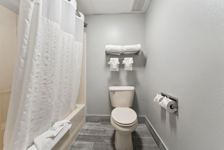 Bathroom 4, AmericInn by Wyndham Wisconsin Dells, Sauk