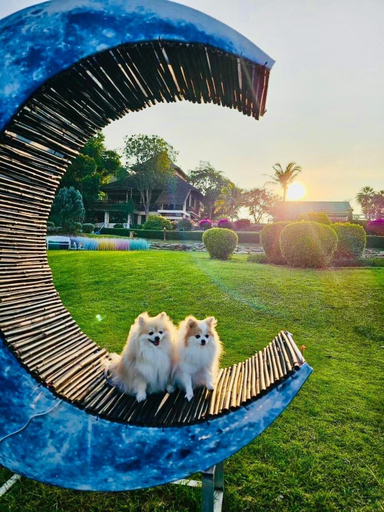 Others 5, Phureenun Resort, Pak Chong