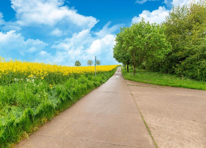 View from property 3, Pet Friendly Villa in Elsenborn, Liège