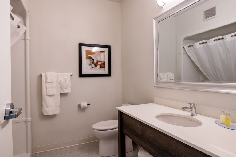 Bathroom 3, Amsterdam Inn & Suites, an Ascend Collection Hotel, Carleton