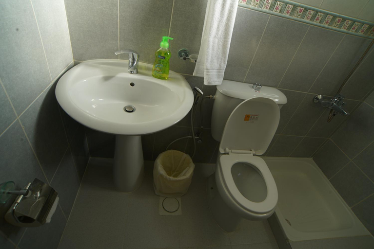 Bathroom 3, Over Mountains Hotel, Wadi Musa