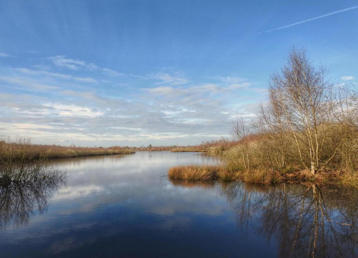 View from property 5, Bungalow in Park De Peel - Car-Free Retreat, Deurne