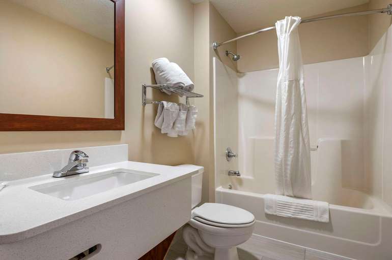 Bathroom 5, Comfort Inn Romeoville - Bolingbrook, Will