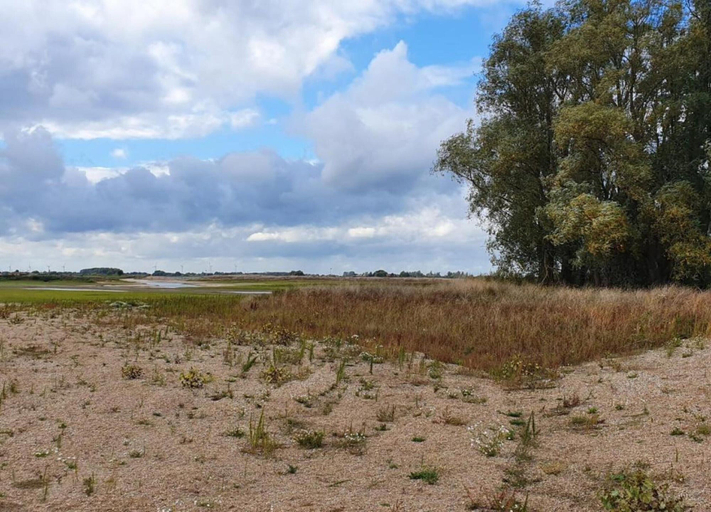 View from property 4, Forest Villa With Private Terrace, Beuningen