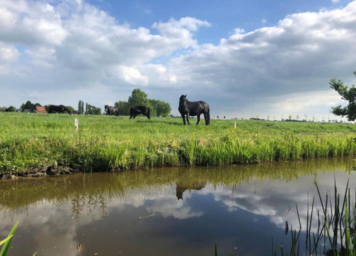 View from property 4, Modern House With a Beautiful View of Friesland, Menaldumadeel