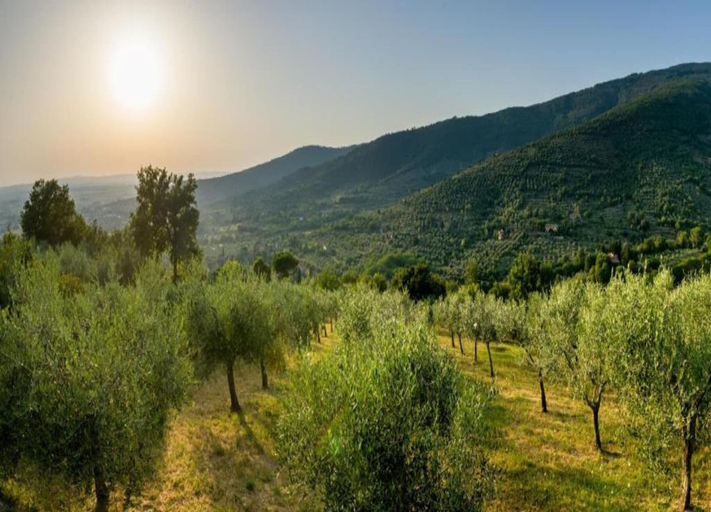 View from property 5, Beautiful Holiday Home With View Over Cortona in Beautiful Surroundings, Arezzo