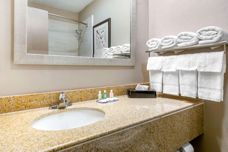 Bathroom, Quality Inn & Suites Durham, Wake