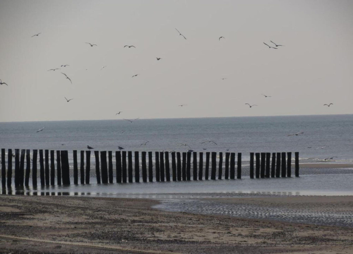 View from property 4, Holiday Home in Renesse Near Seabeach, Schouwen-Duiveland