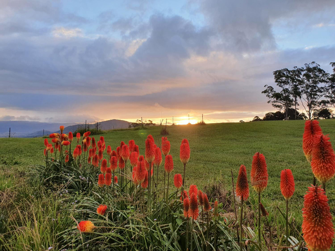 Others 5, Modern Couples Getaway, Caloundra - Hinterland