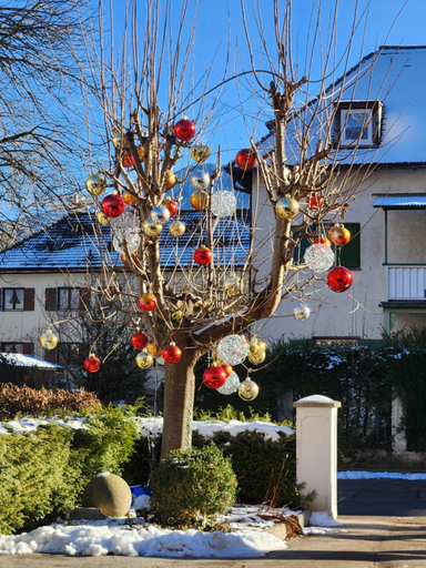 Others 5, Hotel Almrausch, Berchtesgadener Land