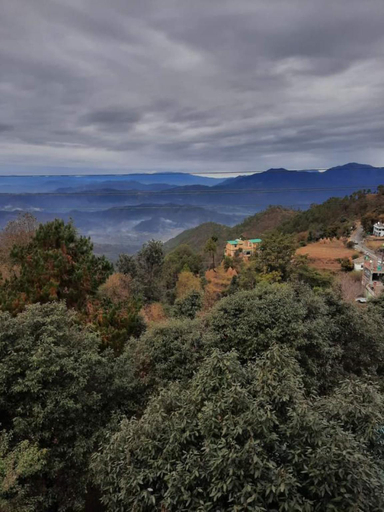 Others 5, Hotel Kaafal Cottage Ranikhet, Almora