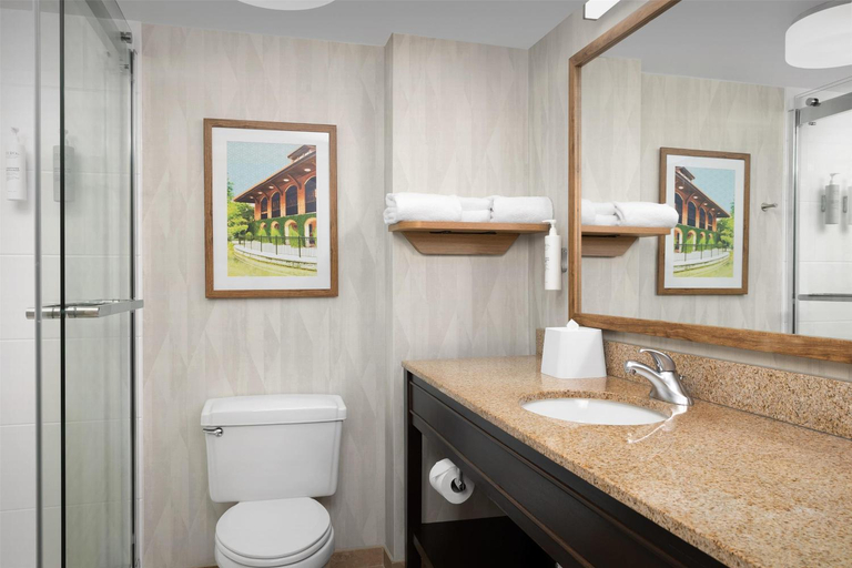 Bathroom 4, Hampton Inn Fayetteville Fort Bragg, Cumberland