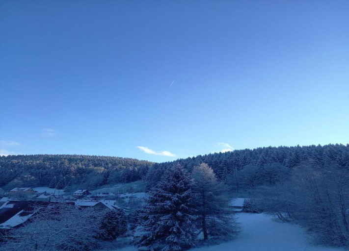 View from property 3, Luxurious Apartment in Heubach Germany in the Forest, Hildburghausen