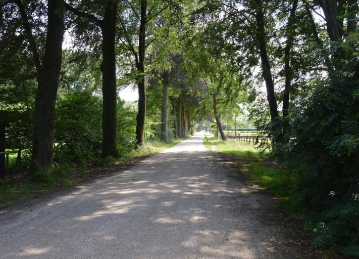 View from property 2, Apartment in Gelderland Near Nature Trails, Hengelo