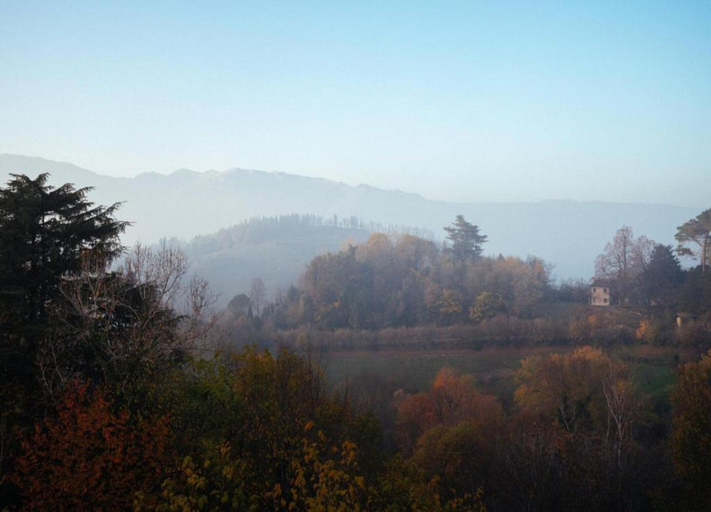 View from property 3, Modern Farmhouse in Pagnano Italy Near Forest, Treviso