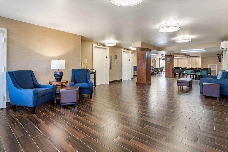 Public Area 2, Comfort Inn University, New Hanover