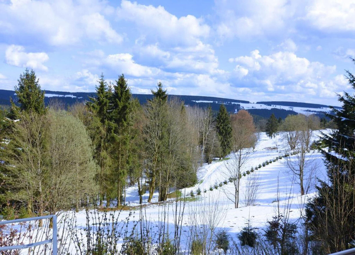 View from property 4, Luxurious Apartment in Heubach Germany in the Forest, Hildburghausen
