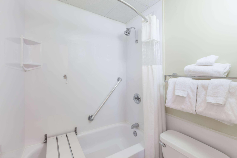 Bathroom 5, Ramada Plaza by Wyndham Albany, Albany