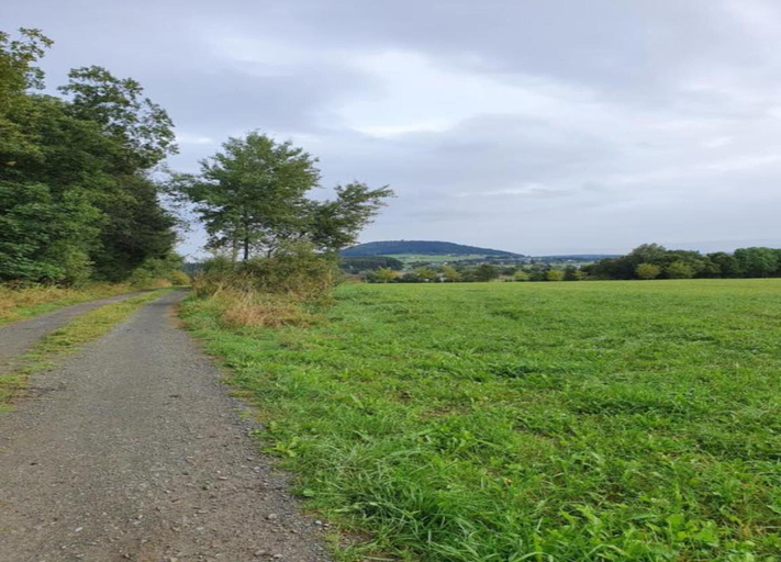 View from property 5, Ferienhaus in Barenstein bei Grunen Hugeln, Erzgebirgskreis