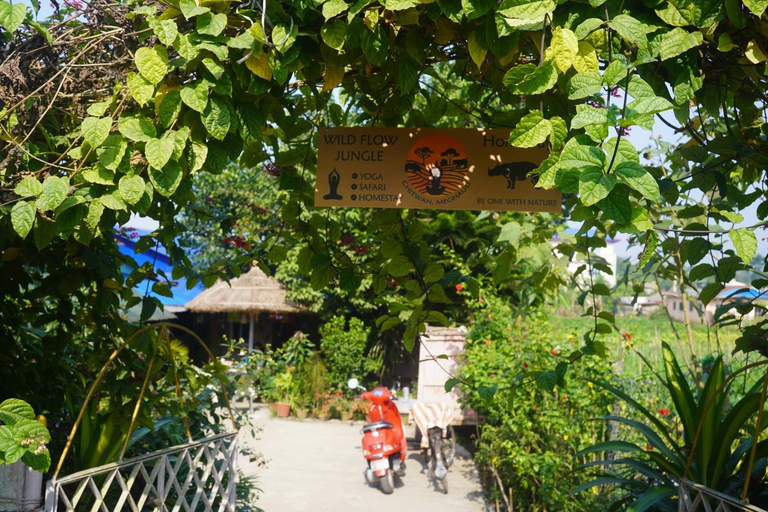 Others 3, Wildflow jungle yoga safari and homestay, Narayani